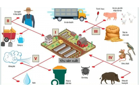 Những lưu &yacute; khi t&aacute;i đ&agrave;n sau Dịch tả lợn ch&acirc;u Phi (DTLCP)