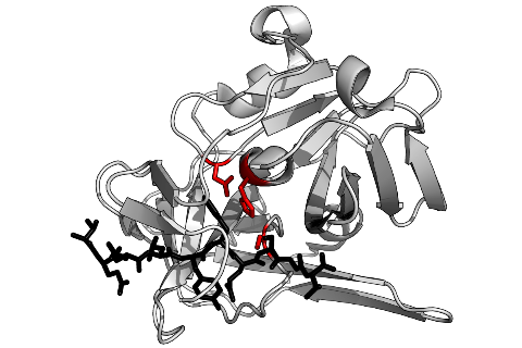 PROTEASE: C&Ocirc;NG CỤ ĐẦY HỨA HẸN GI&Uacute;P GIẢM THIỂU TỔN THẤT G&Acirc;Y RA DO CHỨNG VI&Ecirc;M RUỘT HOẠI TỬ