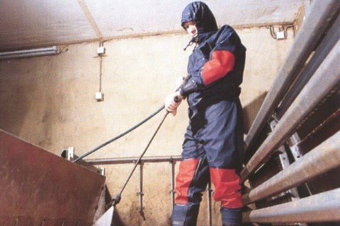 An to&agrave;n sinh học cho heo