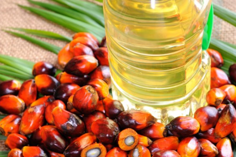 Lợi &iacute;ch của việc bổ sung Dầu cọ đỏ trong khẩu phần ăn của vật nu&ocirc;i