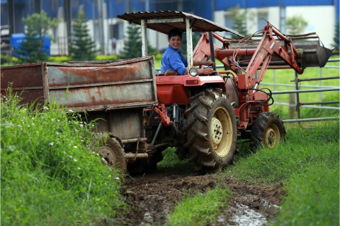&Ocirc;ng lớn TPP c&oacute; thực sự đ&aacute;ng sợ với ng&agrave;nh chăn nu&ocirc;i?