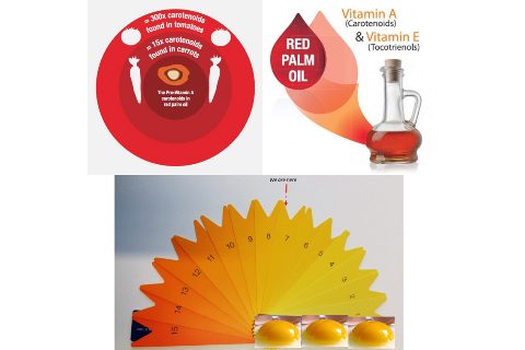 THAY THẾ SẮC TỐ V&Agrave;NG, ĐỎ V&Agrave; BỔ SUNG VITAMIN E TỰ NHI&Ecirc;N TRONG THỨC ĂN CHĂN NU&Ocirc;I TỪ DẦU CỌ